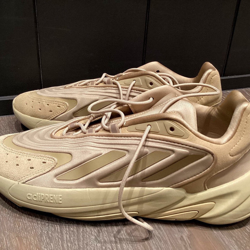 Adidas Ozelia 10 1/2. Never worn BRAND NEW. Don't have the shoe box